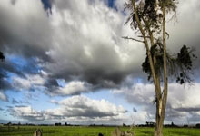 乐鱼体育亚洲官网-热刺主场惨败阿森纳，遭遇双线连败