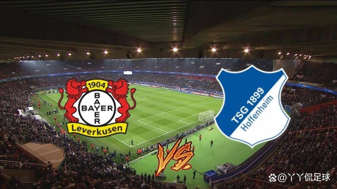 包含霍芬海姆主场取得关键胜利，保级前景一片光明的词条